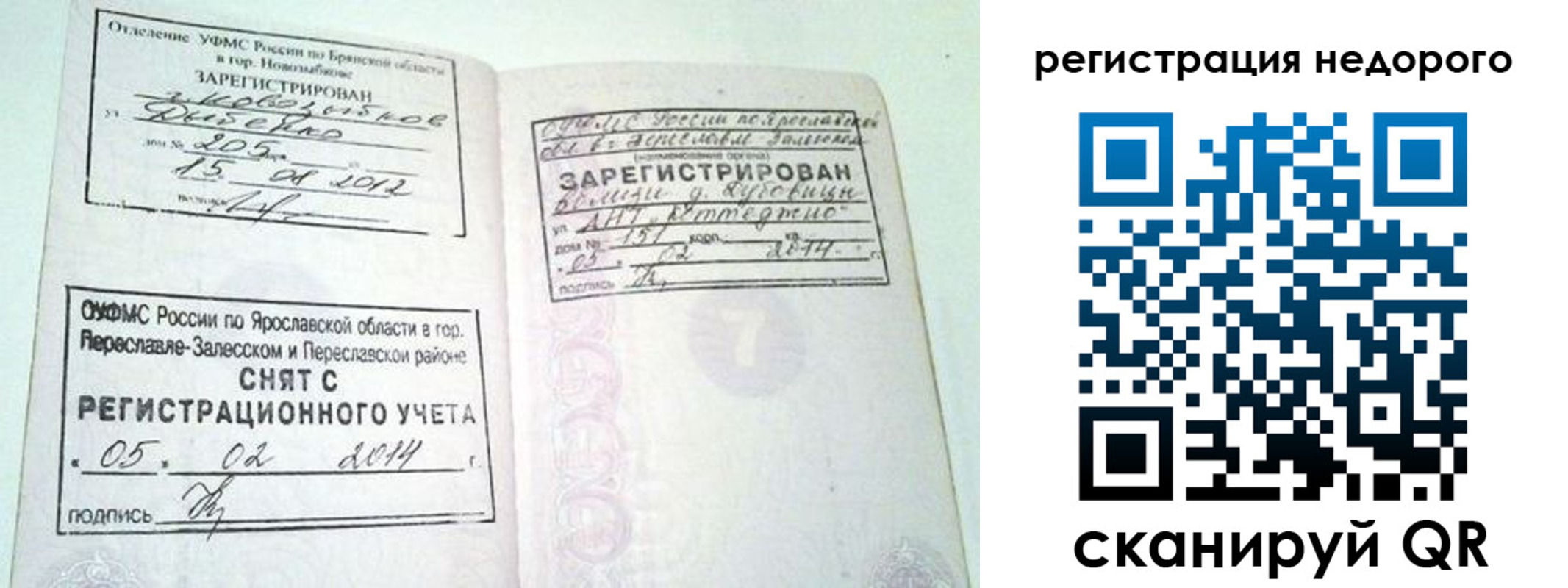 прописка поиск в Невеле